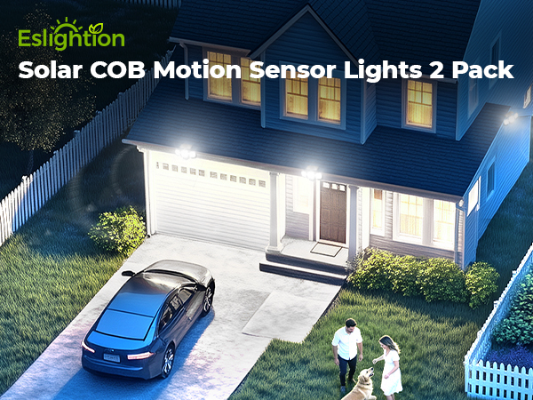solar motion sensor light