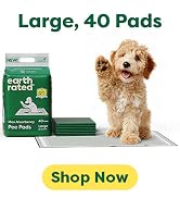 Max absorbency pee pads