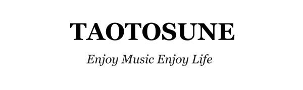 Speakers for computer