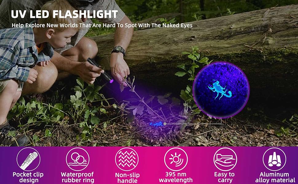 UV LED FLASHLIGHT