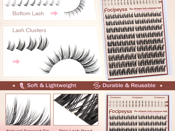 lash