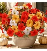 Geegoods Fall Flowers Outdoor, 4 Bundles Orange Yellow White Faux Petunias | 15.75'' UV Resistant...
