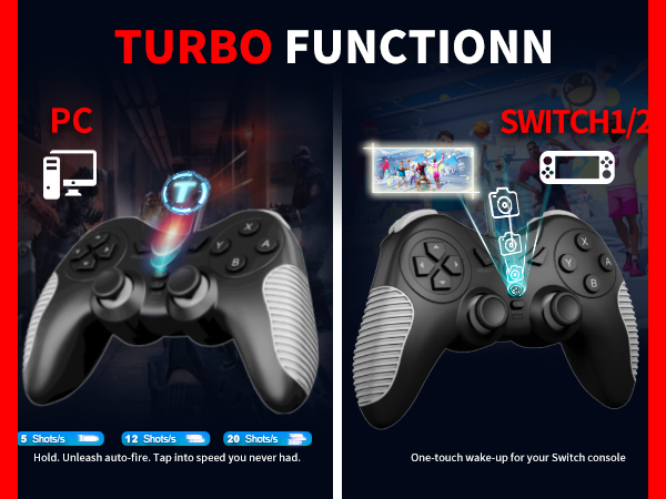 wired controller for switch