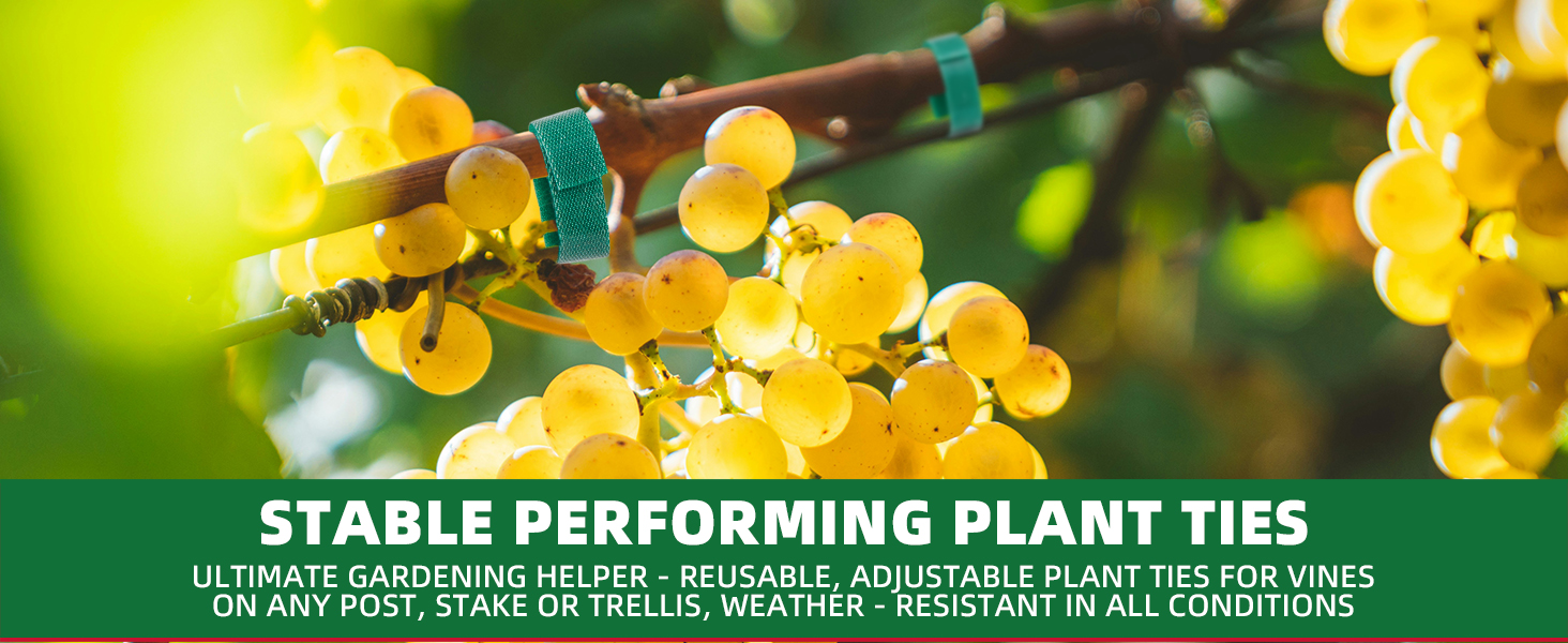 plant ties for outdoor plants garden green tape for plants tomato ties for climbing plants