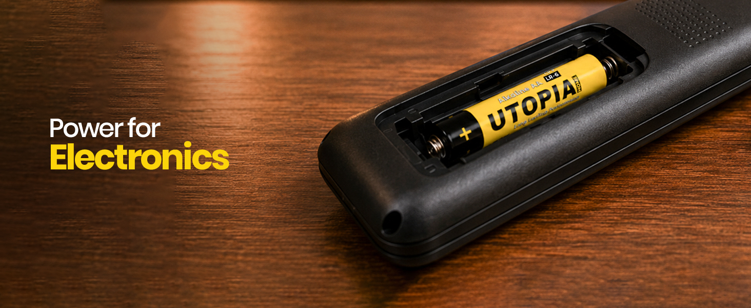 AA Batteries
