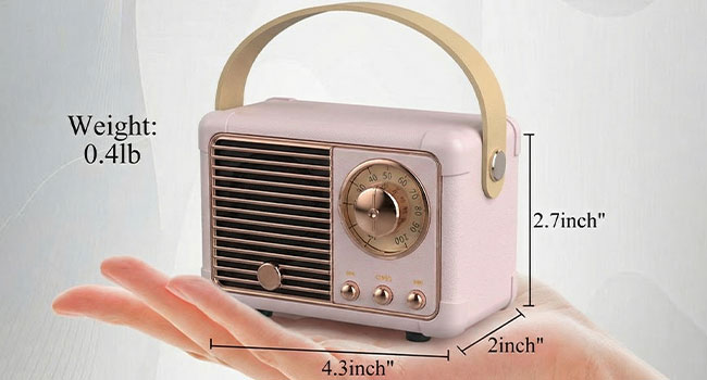 Mini Size But Surprisingly Loud Volume