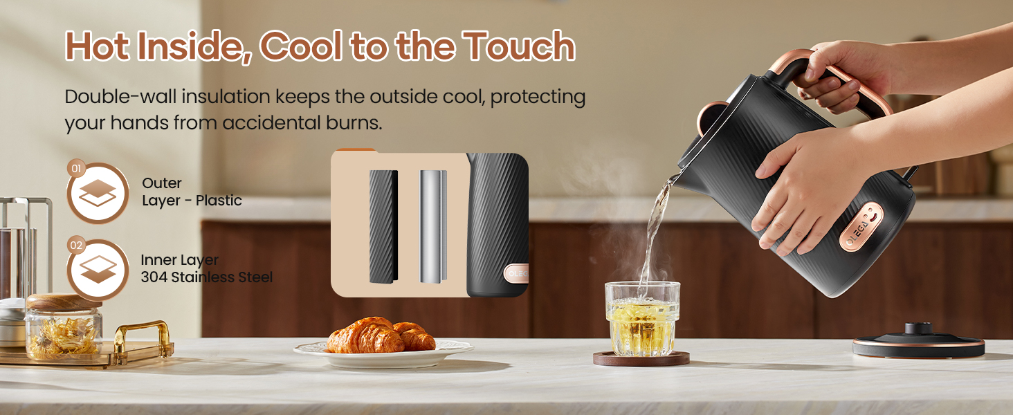 OLEGA Electric Kettle
