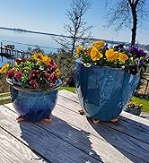 12Pcs Flower Plant Pot Feet