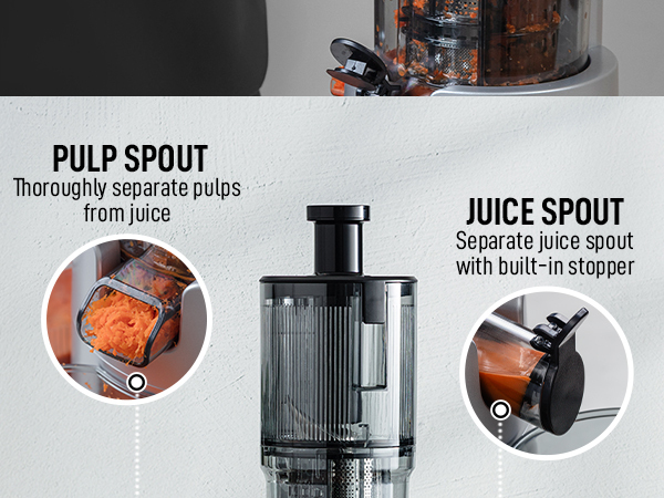 Masticating Juicer