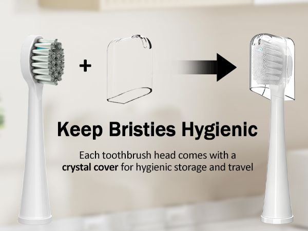 waterpik replacement heads