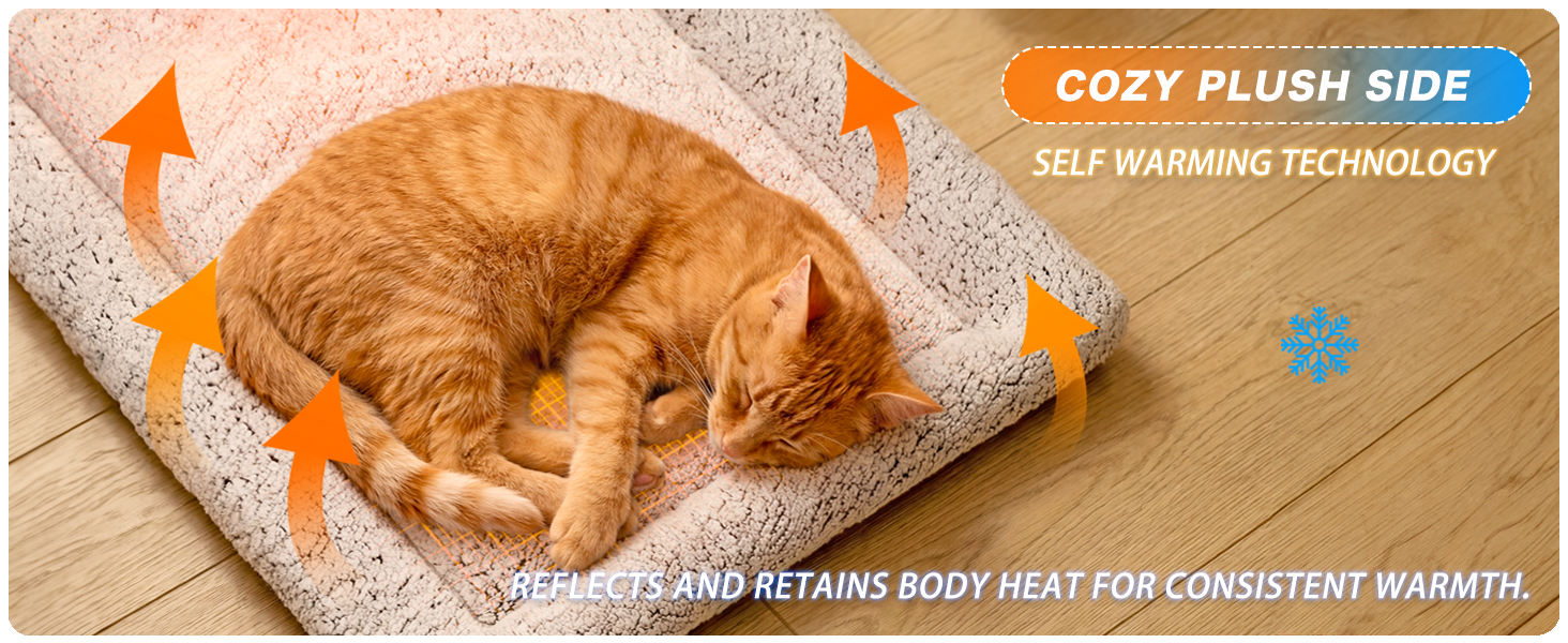 self warming cat bed