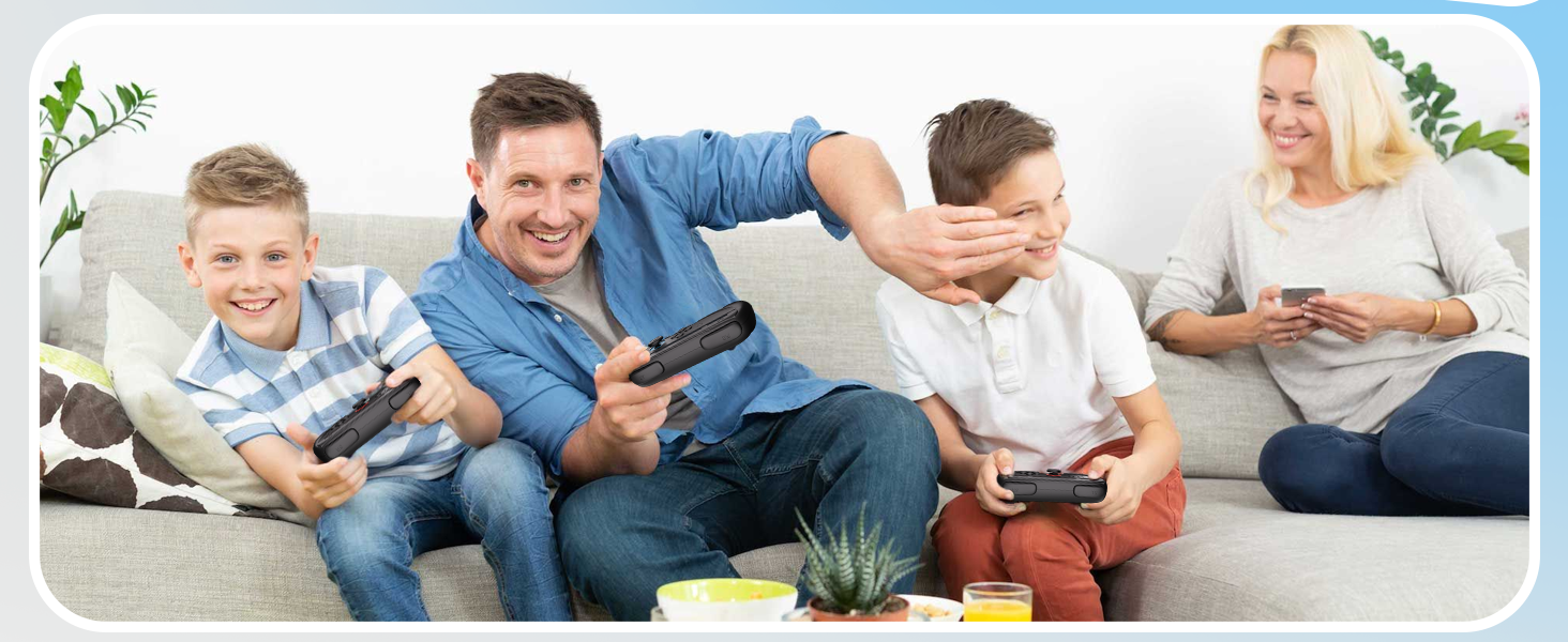 joycon grips