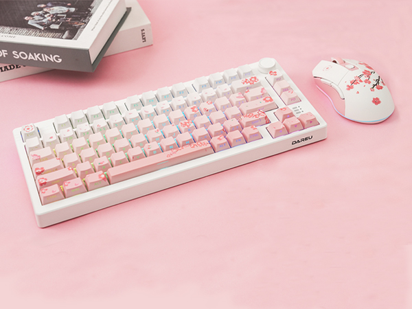 pink keyboard and mouse combe
