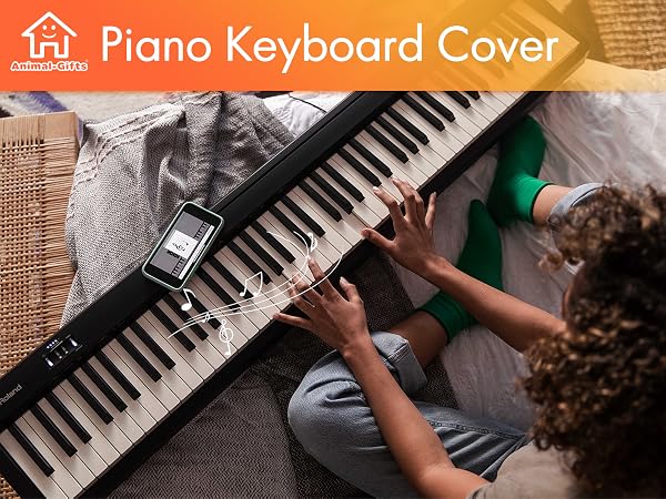 piano keyboard cover