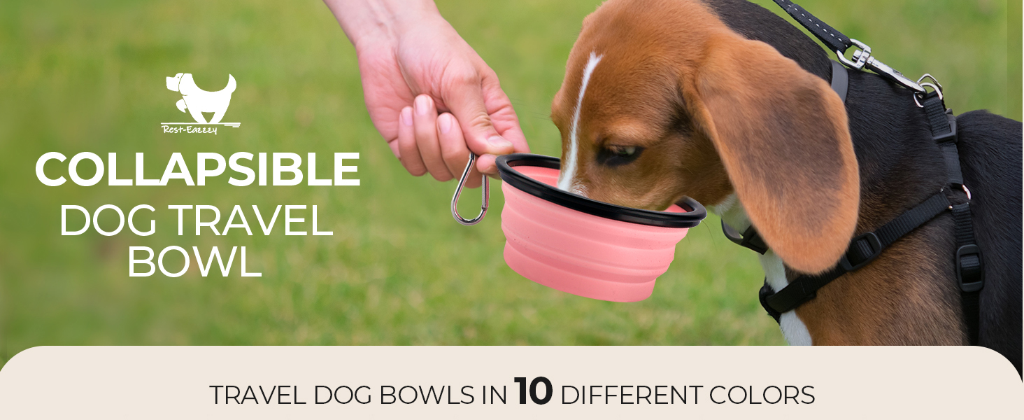 collapsible dog bowls travel portable water bowl foldable feeding dish carabiner clip