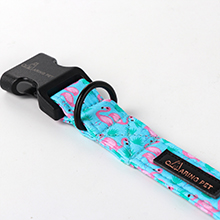 small dog collar
