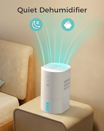 Small Dehumidifiers