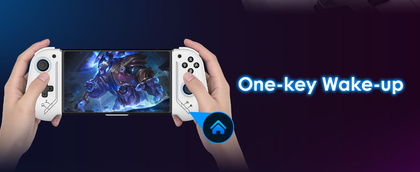 Switch Controller