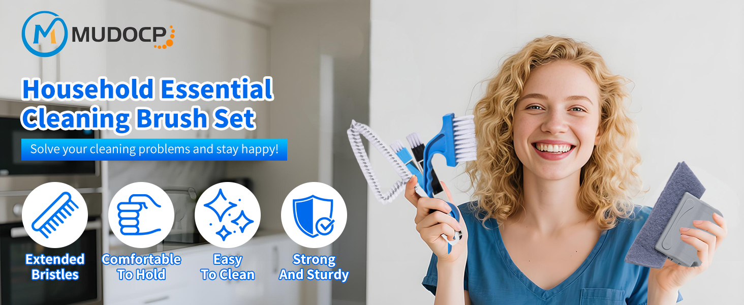 window cleaning brush