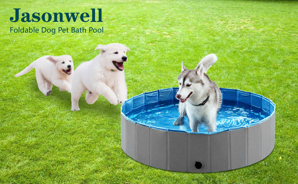 dog pool kiddie pool for dogs