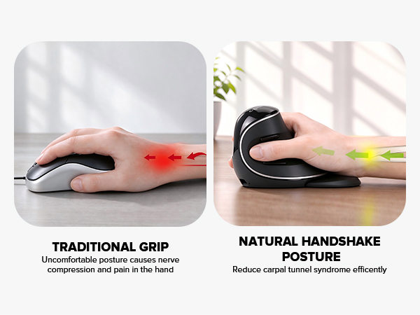 DELUX Wireless Ergonomic Vertical Mouse,Ergo Mouse for Large Hands (M618PD)