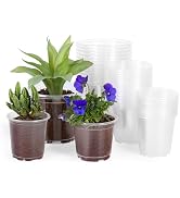 JERIA 30 Pack 5/4/3.5 Inch Clear Nursery Pots with Drainage Holes, Clear Plant Pot for Planting, ...