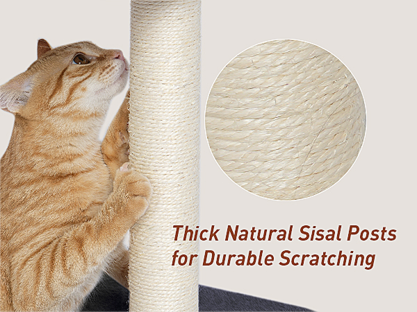 kinotai small cat tree indoor