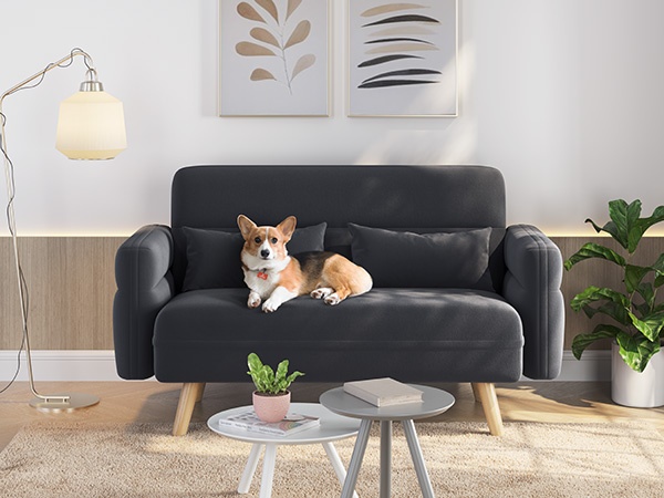 sofa