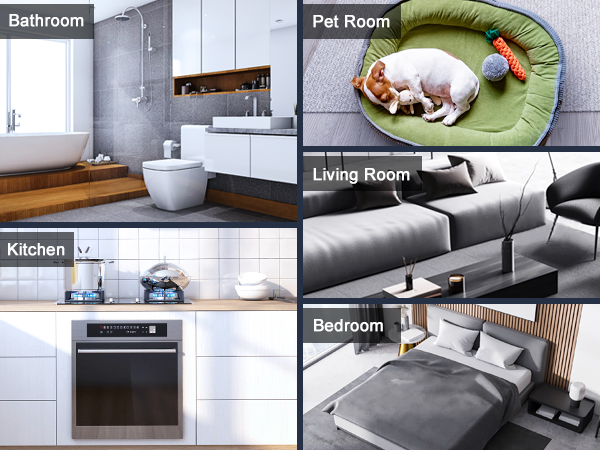 pet odor eliminator for home