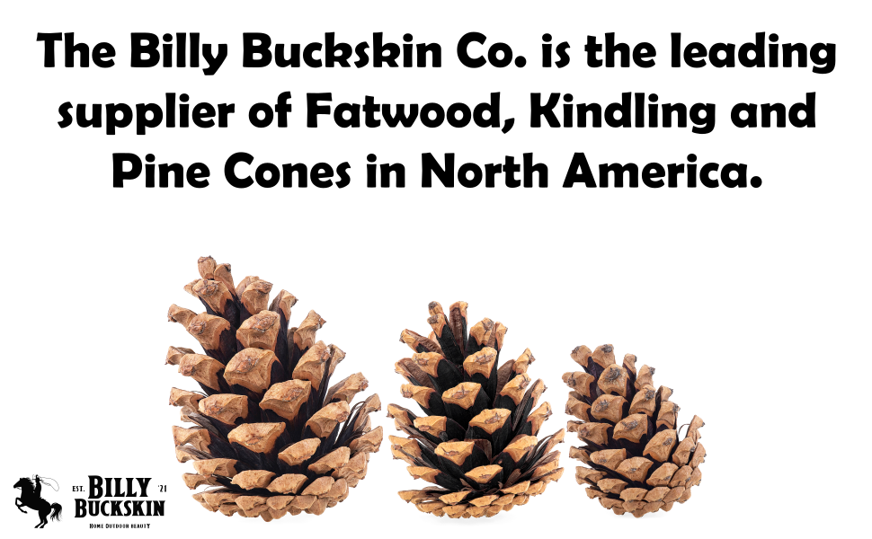 pine cones