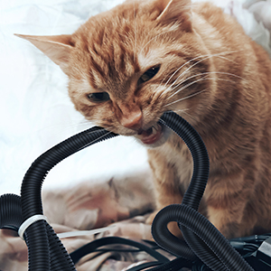 cord protectors from pets no chew