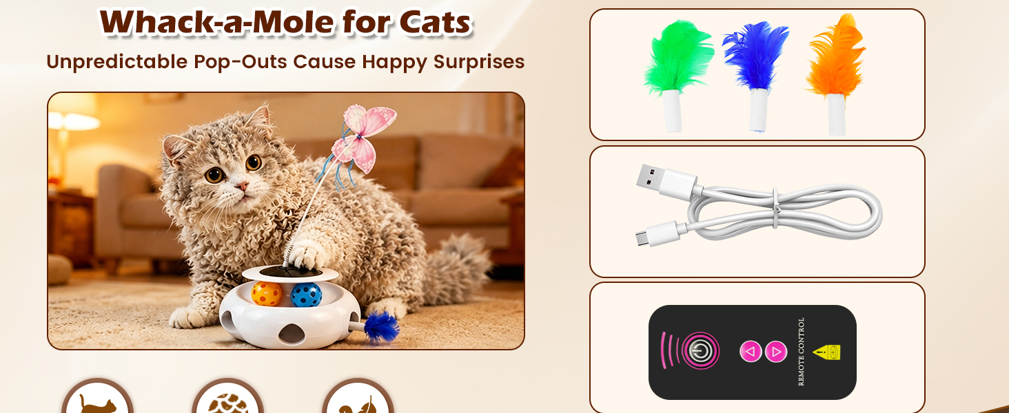 cat toys interactive