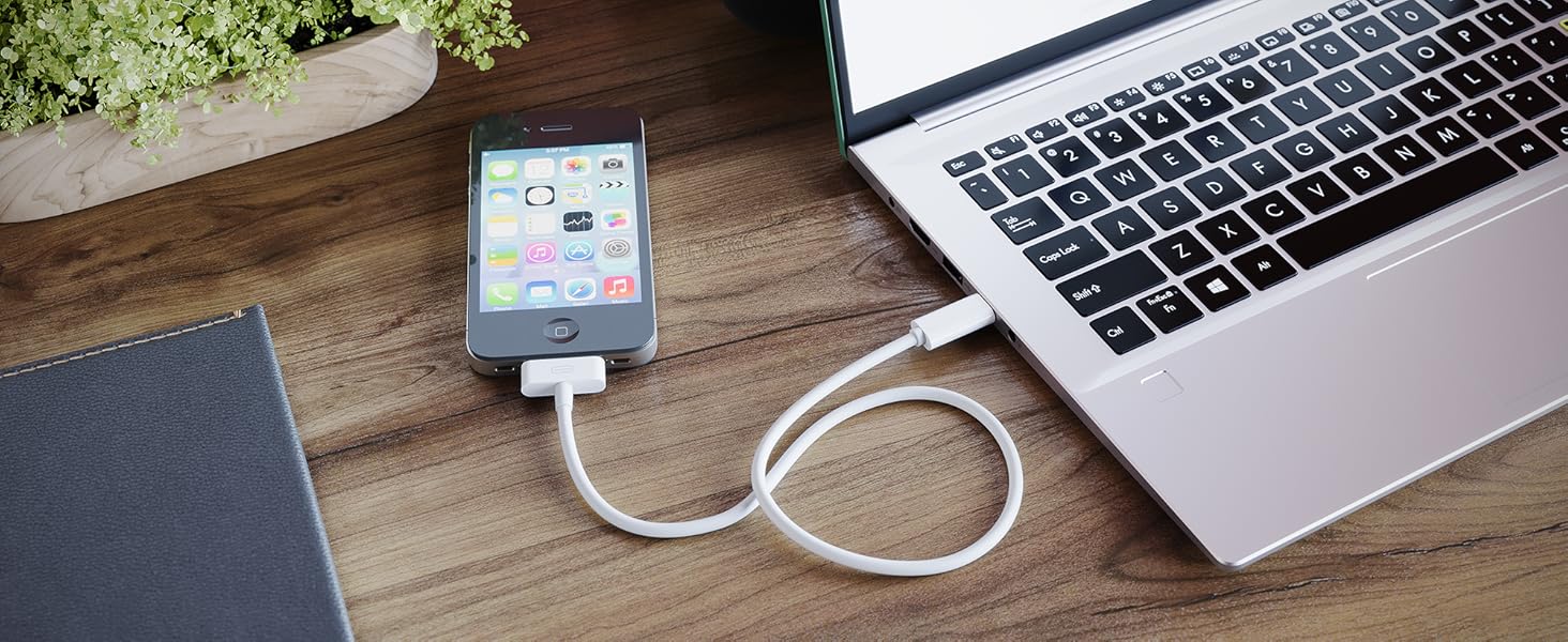 USB C 30 Pin