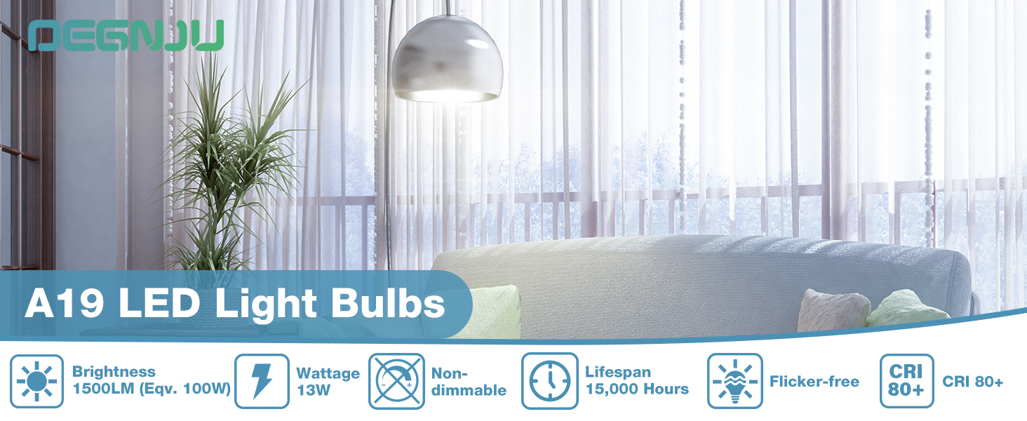 A19 LED Light Bulb 100w 5000k daylight