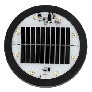 Solar Penguin Light