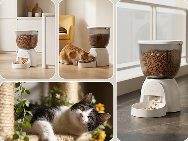Automatic Cat Feeder