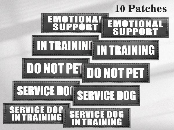 10 pack patches