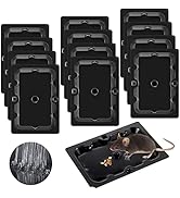 Qualirey 12 Pack Mouse and Insect Glue Traps, Strong Sticky Mice Traps Indoor for Home, Pre Scent...