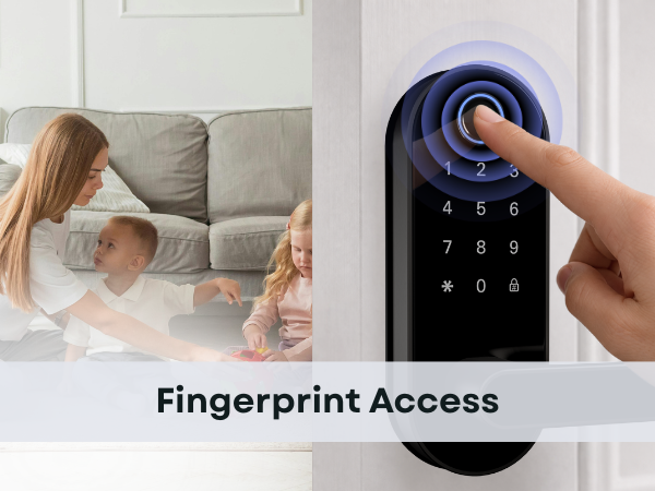Dermum S Black fingerprint access