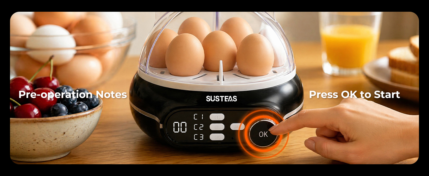 my mini egg cooker