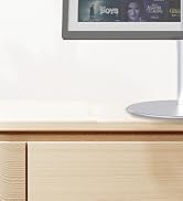 echo show 15 stand