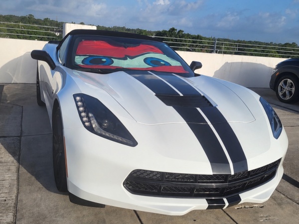 Windshield Sun Shade Umbrella for Car