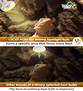 heat bulb