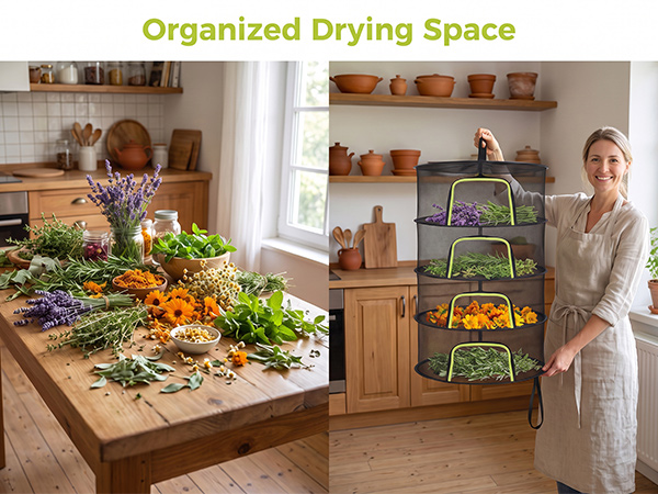 herb drying