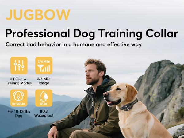 Dog Training Collar
