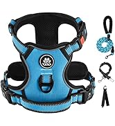 IVY&LANE No Pull Dog Harness for Small Dogs, Dog Vest Harness with Leash, Safety Belt and Storage...