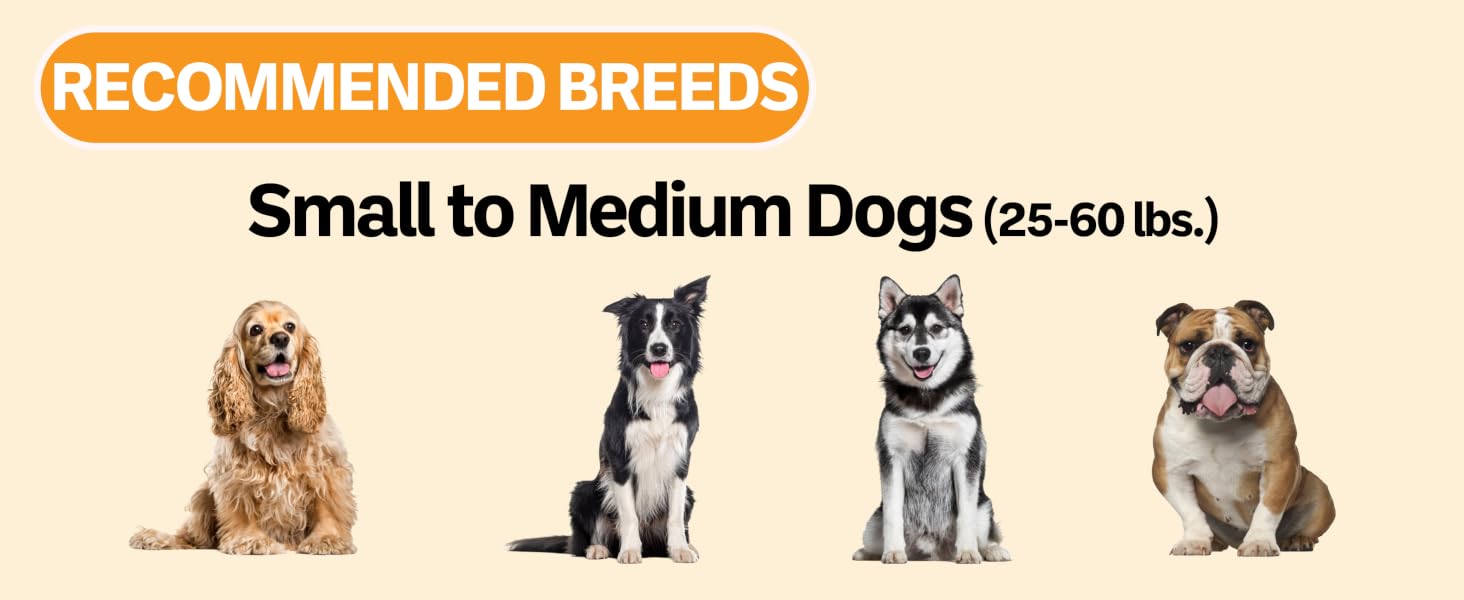 Recommended breeds for 3 cup slow feed bowl