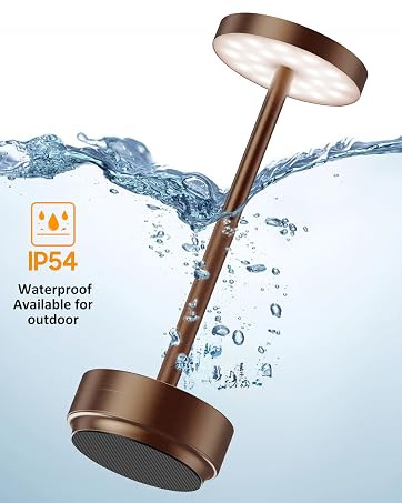 https://m.media-amazon.com/images/S/aplus-media-library-service-media/8f42e42a-1e8b-491d-8bea-d50826c2dd0b.__CR1,0,1598,2000_PT0_SX362_V1___.jpg