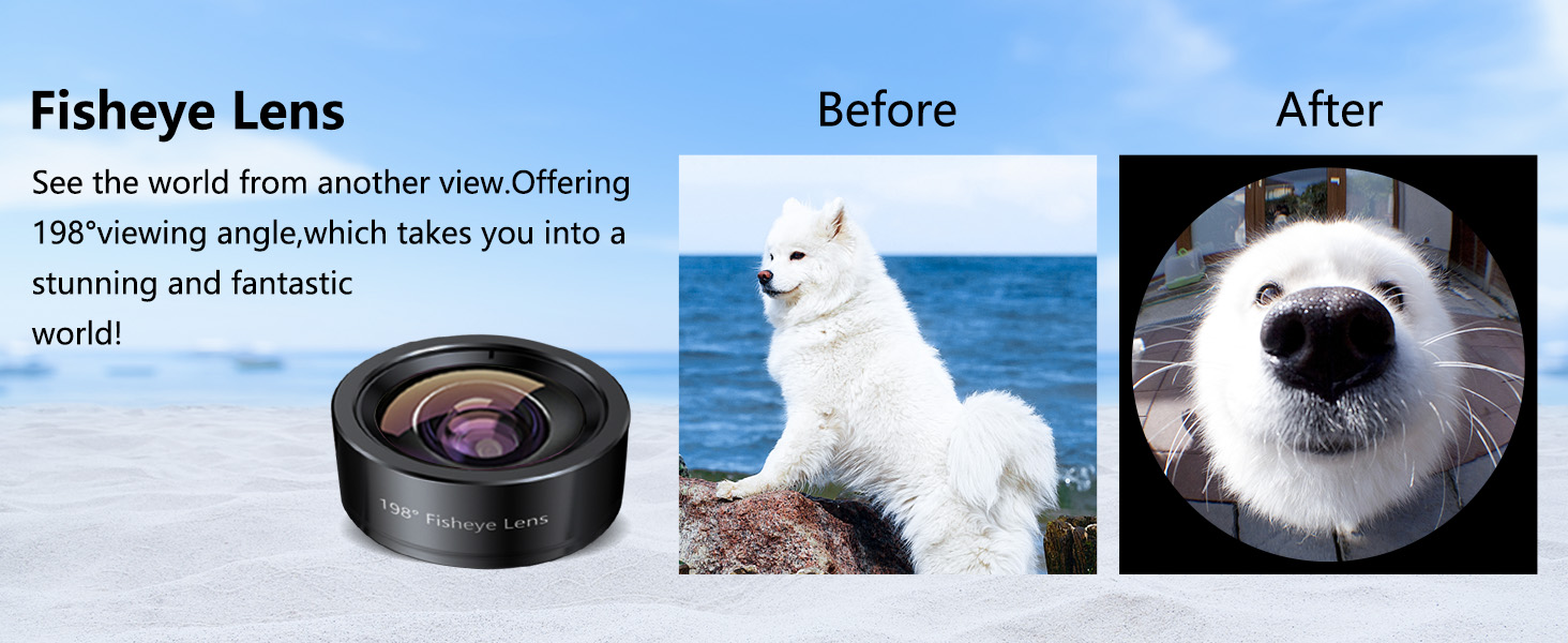 fisheye lens