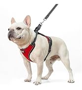 PUPTECK Dog Harness and Leash Set for Small Medium Sized Dogs, No Pull Dog Harness for Walking Tr...